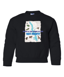 Gildan YOUTH Sweatshirt - MAP