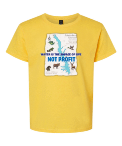 Gildan Softstyle YOUTH Tee – MAP